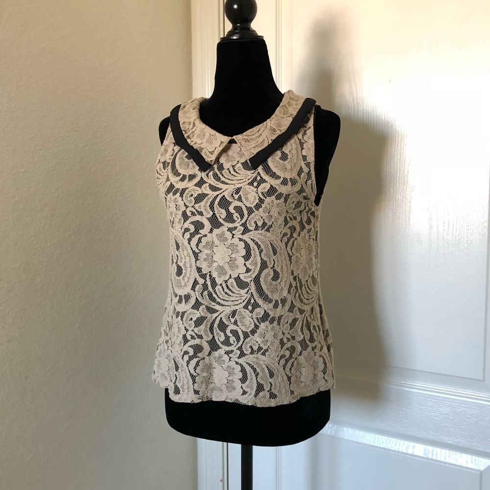 Lace Collared Top